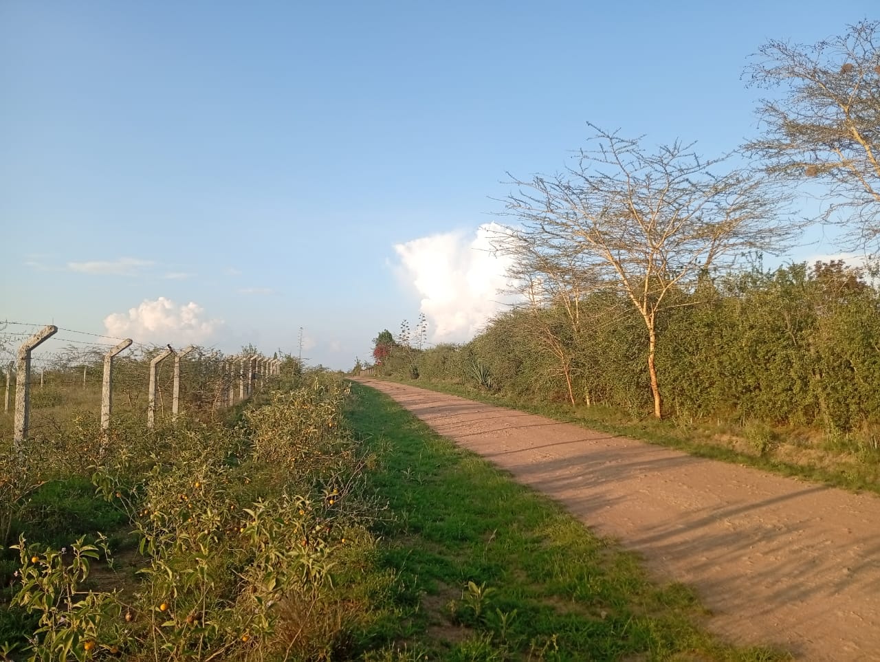 “Aerial view of Lukenya hills and surrounding area showing ¼-acre plot for sale near Daystar University, Machakos County, Kenya.”