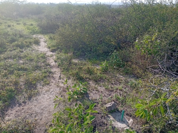 High-value 1/8-acre residential plot for sale in Kinanie, Lukenya with water, electricity, freehold title, and all-weather road access. Ideal for family homes or investment near Daystar University and Athi River.
