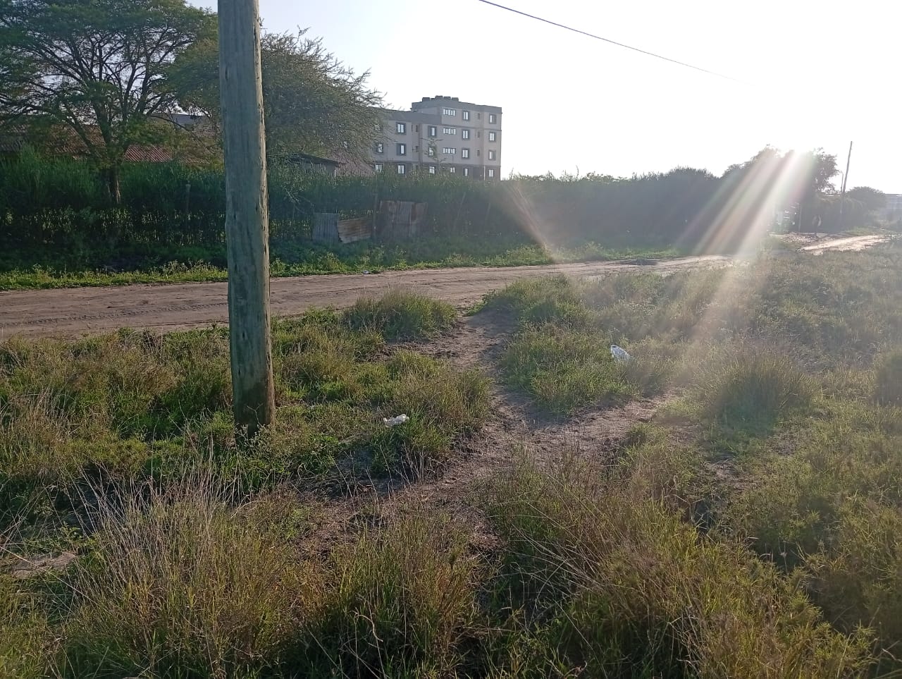 “Affordable land for sale in Lukenya near Daystar University — ¼-acre at 3.4M and ⅛-acre at 1.7M by Mkaazi Real Estate LTD.”