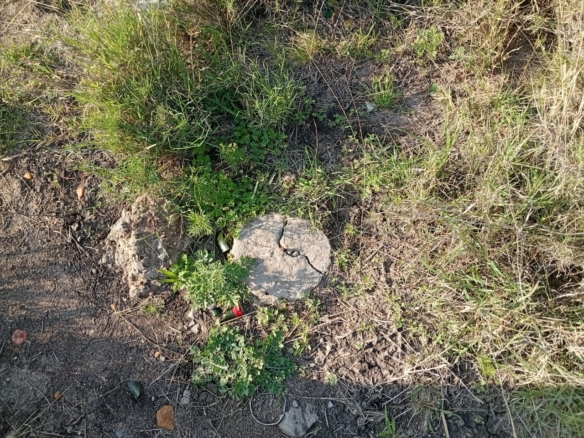 High-value 1/8-acre residential plot for sale in Kinanie, Lukenya with water, electricity, freehold title, and all-weather road access. Ideal for family homes or investment near Daystar University and Athi River.