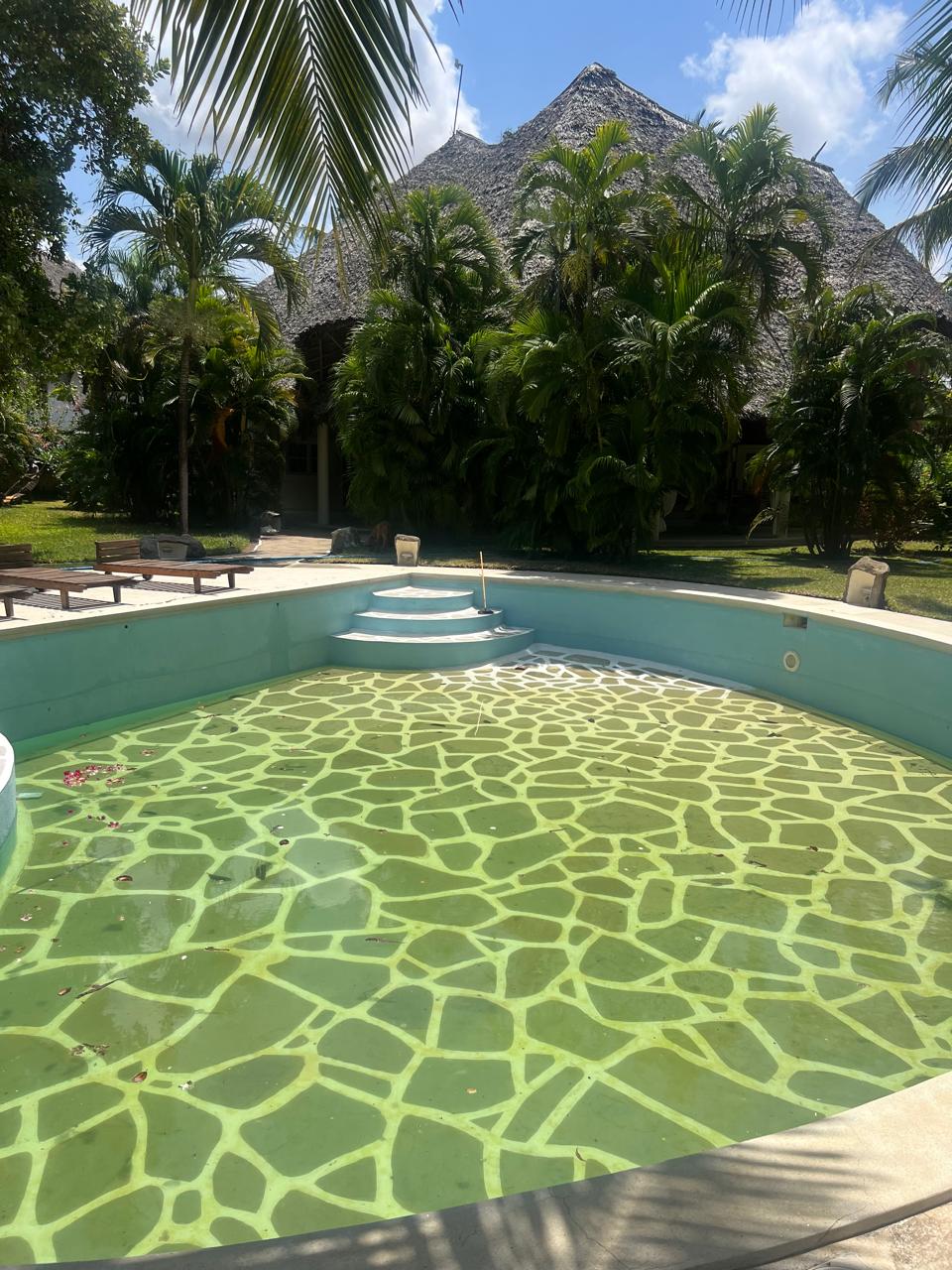 Prime 4-bedroom coastal home for sale in Kibokoni with a 2-bedroom guest suite earning USD 100 per night. Nearly half-acre plot, ideal for investors and families.