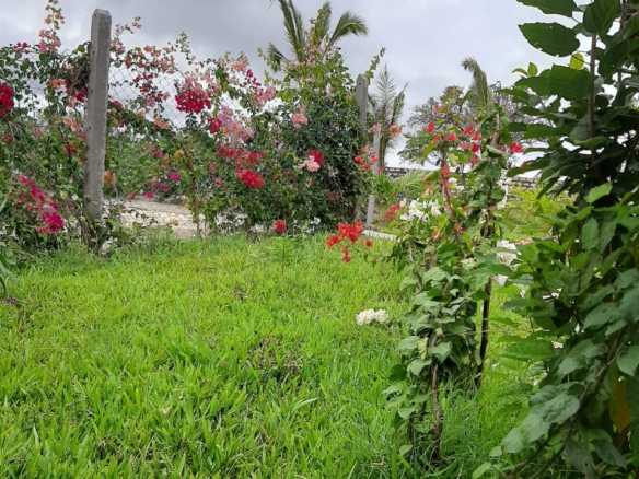 Luxury 2-bedroom guest suite in Mayungu, Malindi featuring ocean views, ensuite rooms, shared kitchen, furnished patio, tropical gardens, and a pristine swimming pool. Perfect self-catering coastal accommodation for only USD 100 per night.