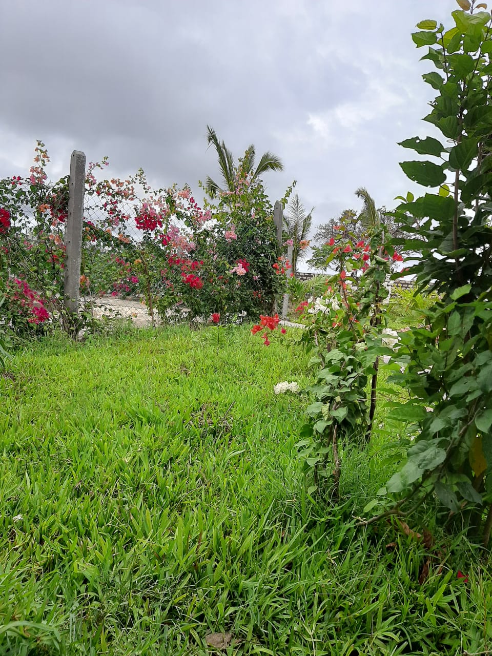 Luxury 2-bedroom guest suite in Mayungu, Malindi featuring ocean views, ensuite rooms, shared kitchen, furnished patio, tropical gardens, and a pristine swimming pool. Perfect self-catering coastal accommodation for only USD 100 per night.