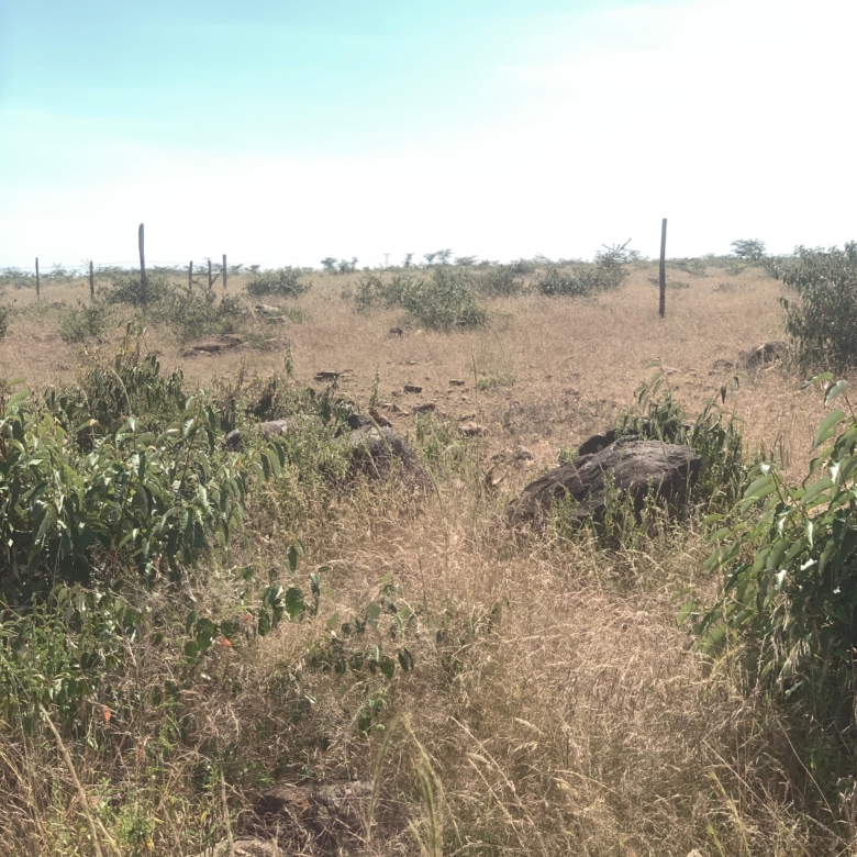 290 acres of land for sale in Rumuruti–Nanyuki with seasonal River Pesi flow. Ideal for agriculture, ranching, and investment. KSh 500,000 per acre
