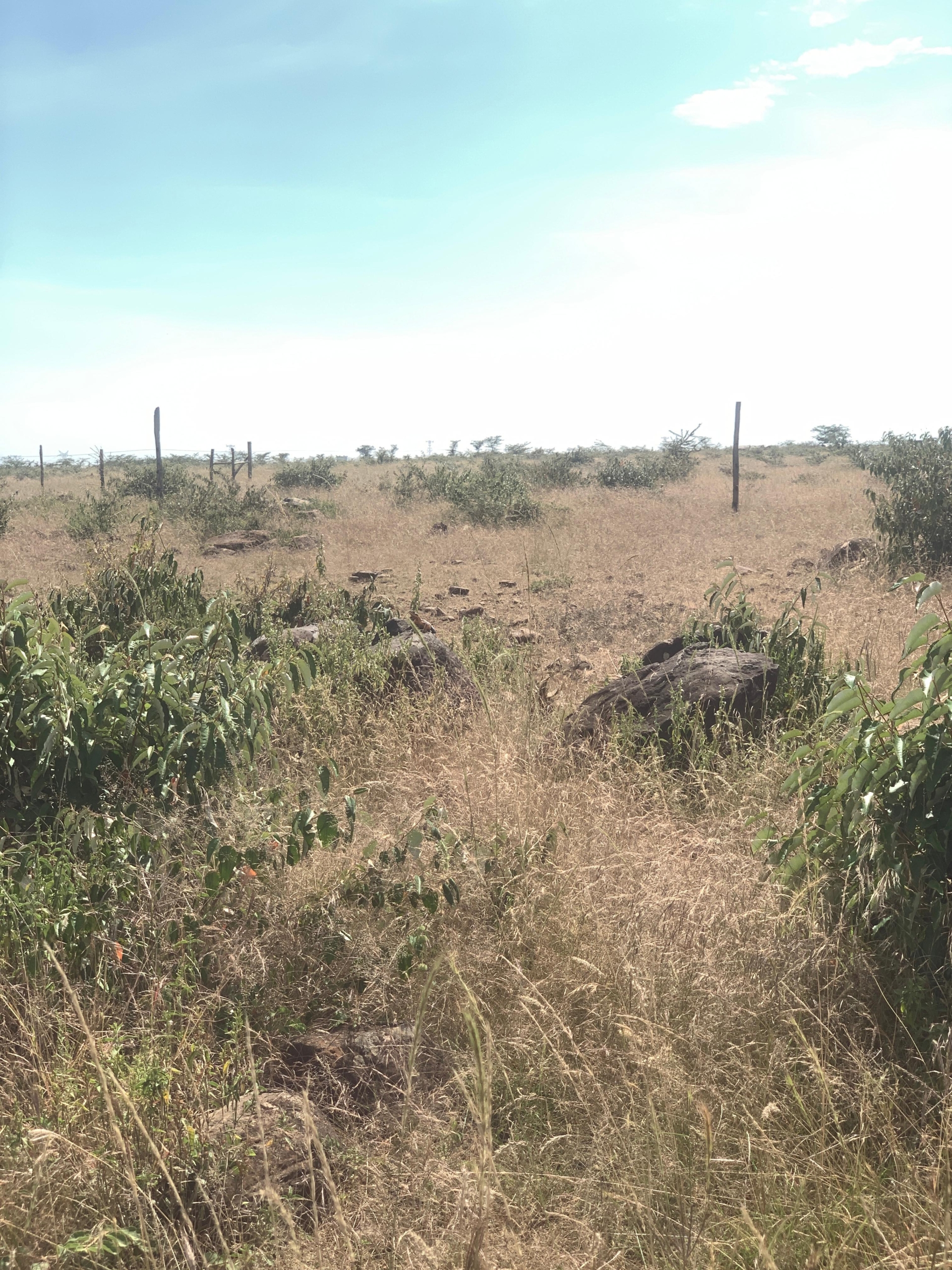 290 acres of land for sale in Rumuruti–Nanyuki with seasonal River Pesi flow. Ideal for agriculture, ranching, and investment. KSh 500,000 per acre