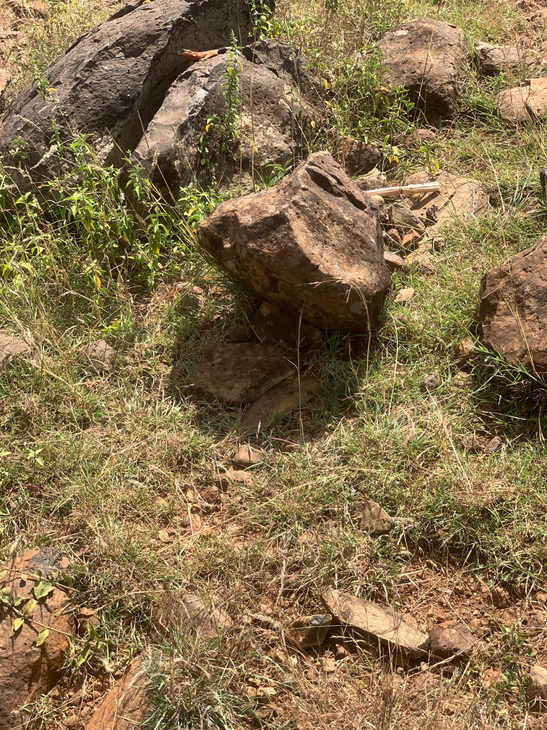 290 acres of land for sale in Rumuruti–Nanyuki with seasonal River Pesi flow. Ideal for agriculture, ranching, and investment. KSh 500,000 per acre