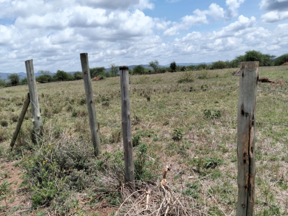 High-value 50-acre red soil land for sale in Bissil, Kajiado County. Ideal for farming, development, or investment. Located 1.3 km from the tarmac and affordably priced at Ksh 800,000 per acre.