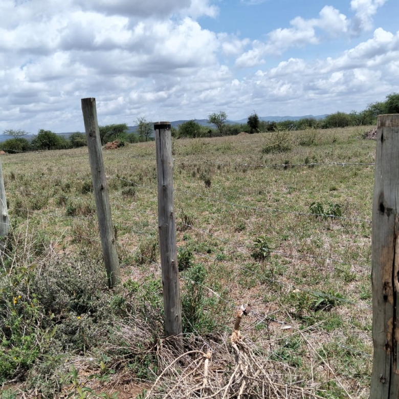 High-value 50-acre red soil land for sale in Bissil, Kajiado County. Ideal for farming, development, or investment. Located 1.3 km from the tarmac and affordably priced at Ksh 800,000 per acre.