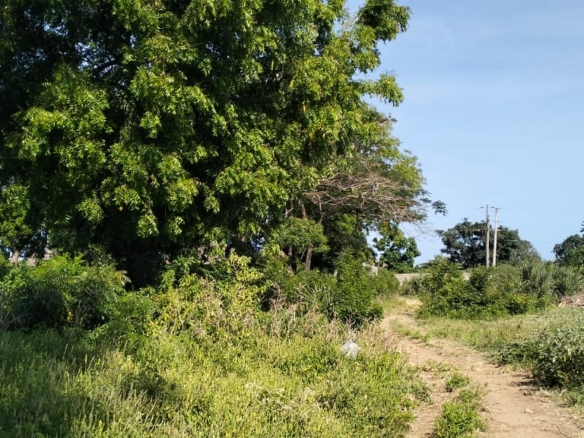 Quarter-acre plots for sale near Galana Petrol Station in Malindi, just 100 meters from the Malindi–Lamu Highway. Ideal for commercial or residential development, priced at KES 4.5M each. High-growth area with excellent accessibility and investment potential.