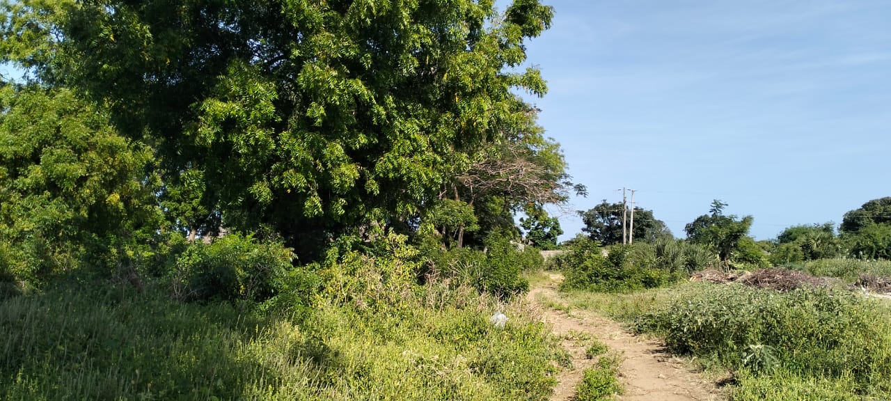 Quarter-acre plots for sale near Galana Petrol Station in Malindi, just 100 meters from the Malindi–Lamu Highway. Ideal for commercial or residential development, priced at KES 4.5M each. High-growth area with excellent accessibility and investment potential.
