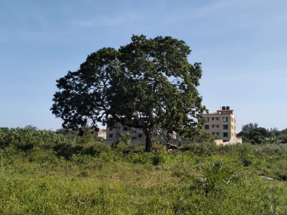 Quarter-acre plots for sale near Galana Petrol Station in Malindi, just 100 meters from the Malindi–Lamu Highway. Ideal for commercial or residential development, priced at KES 4.5M each. High-growth area with excellent accessibility and investment potential.