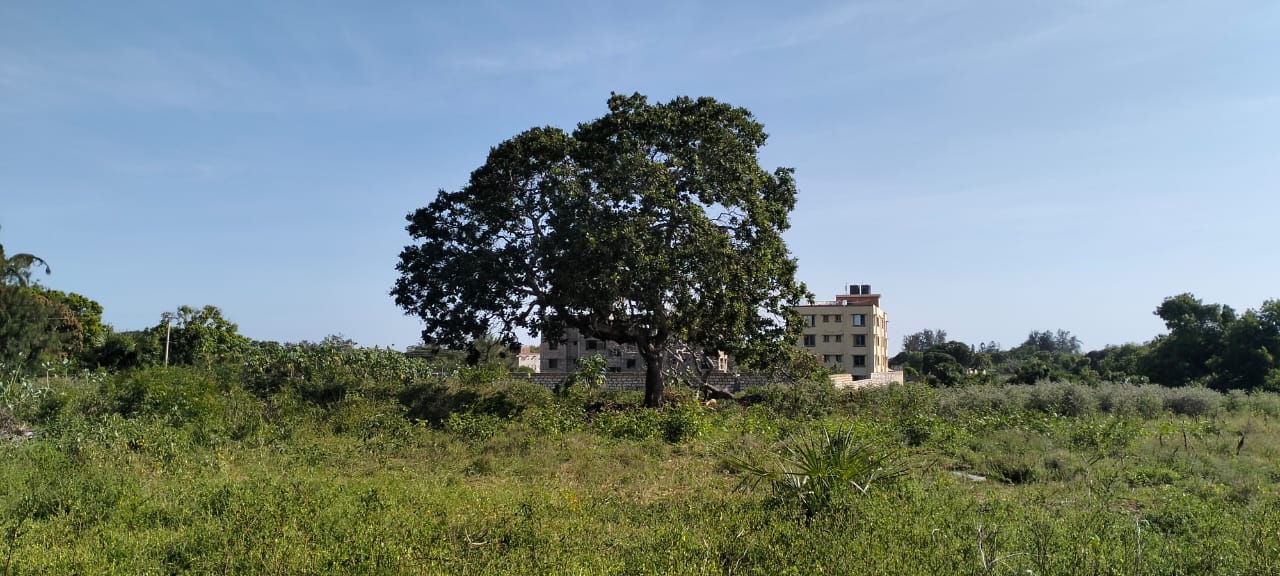 Quarter-acre plots for sale near Galana Petrol Station in Malindi, just 100 meters from the Malindi–Lamu Highway. Ideal for commercial or residential development, priced at KES 4.5M each. High-growth area with excellent accessibility and investment potential.