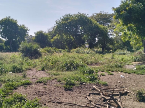 Quarter-acre plots for sale near Galana Petrol Station in Malindi, just 100 meters from the Malindi–Lamu Highway. Ideal for commercial or residential development, priced at KES 4.5M each. High-growth area with excellent accessibility and investment potential.
