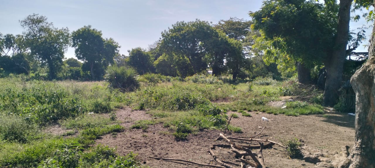 Quarter-acre plots for sale near Galana Petrol Station in Malindi, just 100 meters from the Malindi–Lamu Highway. Ideal for commercial or residential development, priced at KES 4.5M each. High-growth area with excellent accessibility and investment potential.