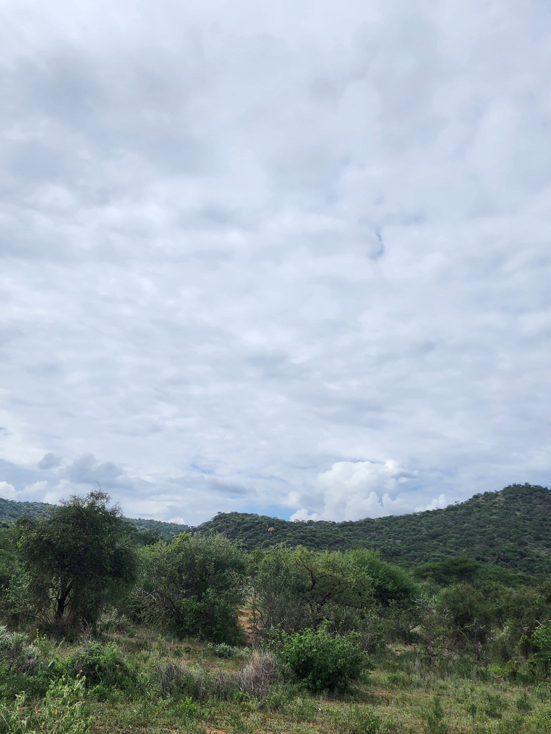 Prime 150-acre land for sale near Namanga, about 20 km from Amboseli National Park. Includes a scenic hill, ideal for tourism, lodges, agriculture, or investment. Priced at KES 1M per acre.