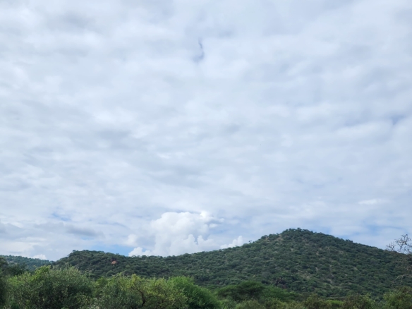 Prime 150-acre land for sale near Namanga, about 20 km from Amboseli National Park. Includes a scenic hill, ideal for tourism, lodges, agriculture, or investment. Priced at KES 1M per acre.
