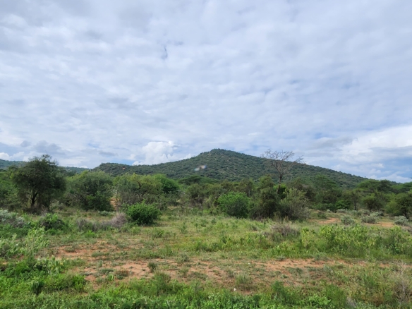 Prime 150-acre land for sale near Namanga, about 20 km from Amboseli National Park. Includes a scenic hill, ideal for tourism, lodges, agriculture, or investment. Priced at KES 1M per acre.