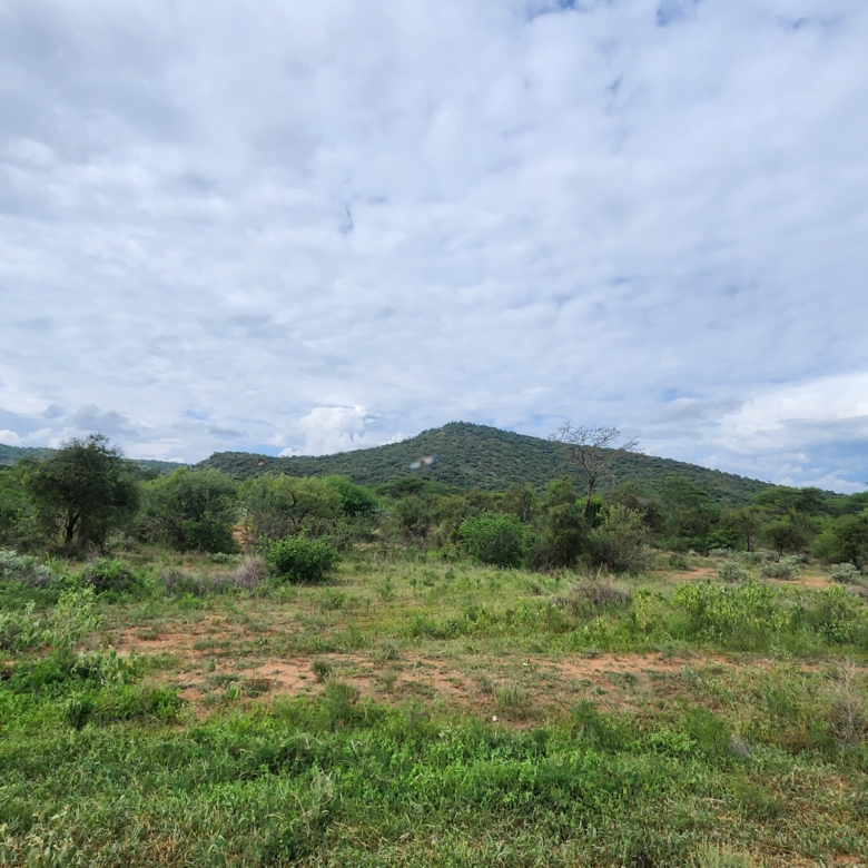 Prime 150-acre land for sale near Namanga, about 20 km from Amboseli National Park. Includes a scenic hill, ideal for tourism, lodges, agriculture, or investment. Priced at KES 1M per acre.