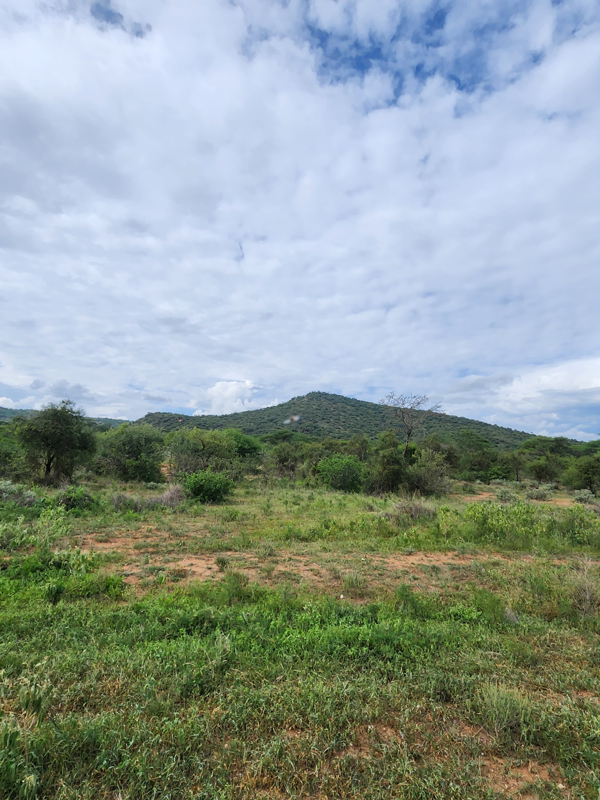 Prime 150-acre land for sale near Namanga, about 20 km from Amboseli National Park. Includes a scenic hill, ideal for tourism, lodges, agriculture, or investment. Priced at KES 1M per acre.
