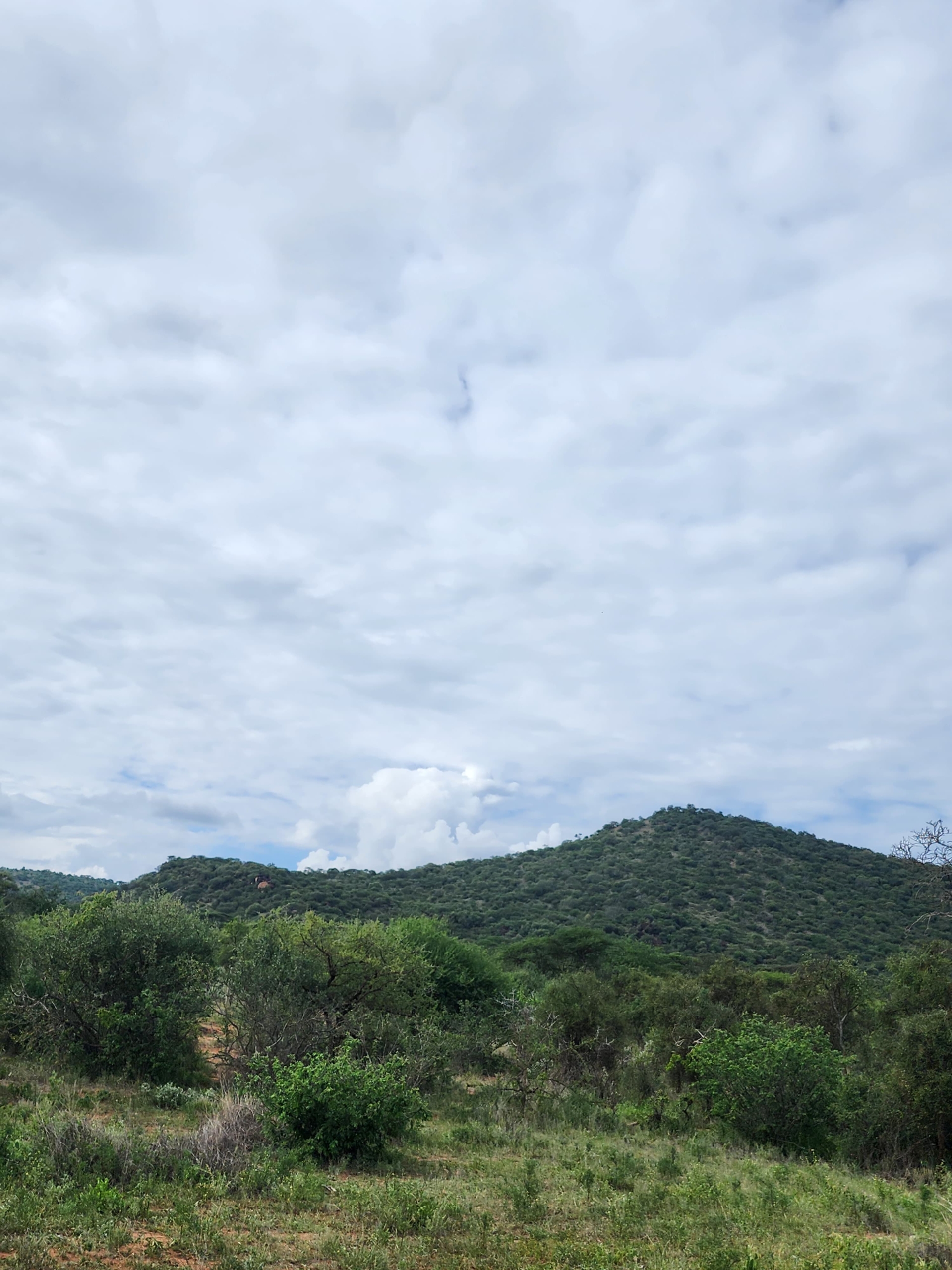 Prime 150-acre land for sale near Namanga, about 20 km from Amboseli National Park. Includes a scenic hill, ideal for tourism, lodges, agriculture, or investment. Priced at KES 1M per acre.
