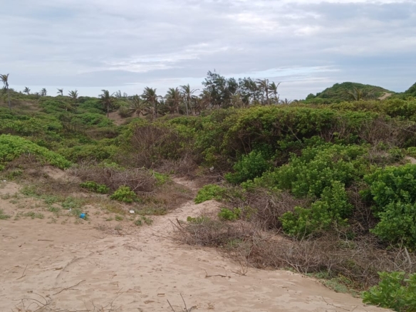 Luxury 4-acre beachfront property for sale in Ngomeni, Malindi, featuring direct beach access, ocean views, and high-value development potential for coastal projects.