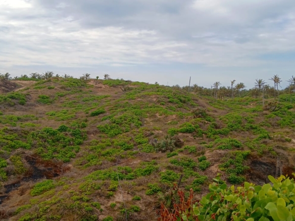 Luxury 4-acre beachfront property for sale in Ngomeni, Malindi, featuring direct beach access, ocean views, and high-value development potential for coastal projects.