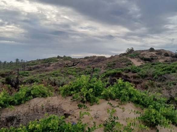 Luxury 4-acre beachfront property for sale in Ngomeni, Malindi, featuring direct beach access, ocean views, and high-value development potential for coastal projects.