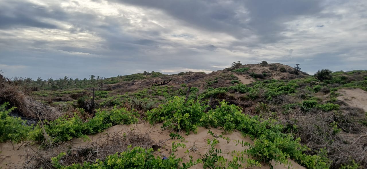 Luxury 4-acre beachfront property for sale in Ngomeni, Malindi, featuring direct beach access, ocean views, and high-value development potential for coastal projects.
