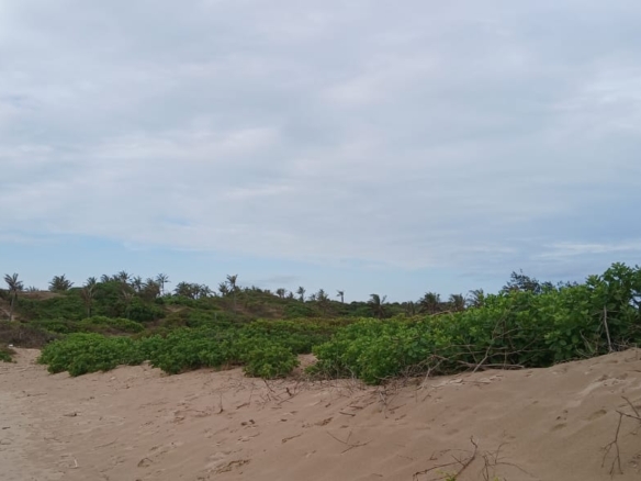 Luxury 4-acre beachfront property for sale in Ngomeni, Malindi, featuring direct beach access, ocean views, and high-value development potential for coastal projects.