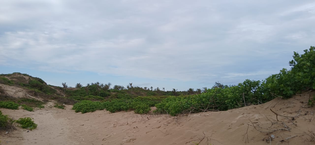 Luxury 4-acre beachfront property for sale in Ngomeni, Malindi, featuring direct beach access, ocean views, and high-value development potential for coastal projects.