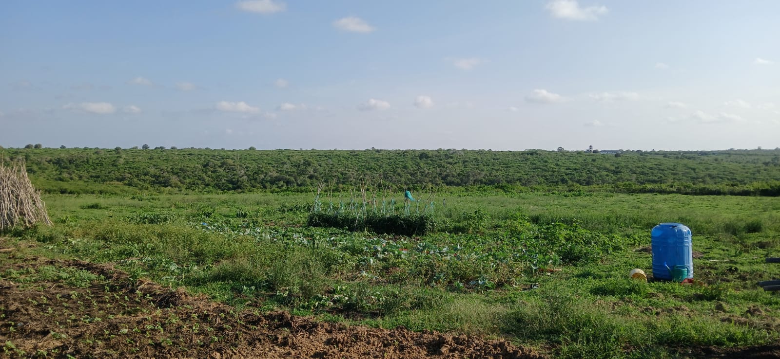 Prime 32-acre Marafa farmland with water access and clean title deed, ideal for agriculture and investment.
