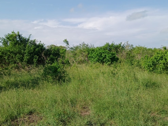 Prime 32-acre Marafa farmland with water access and clean title deed, ideal for agriculture and investment.