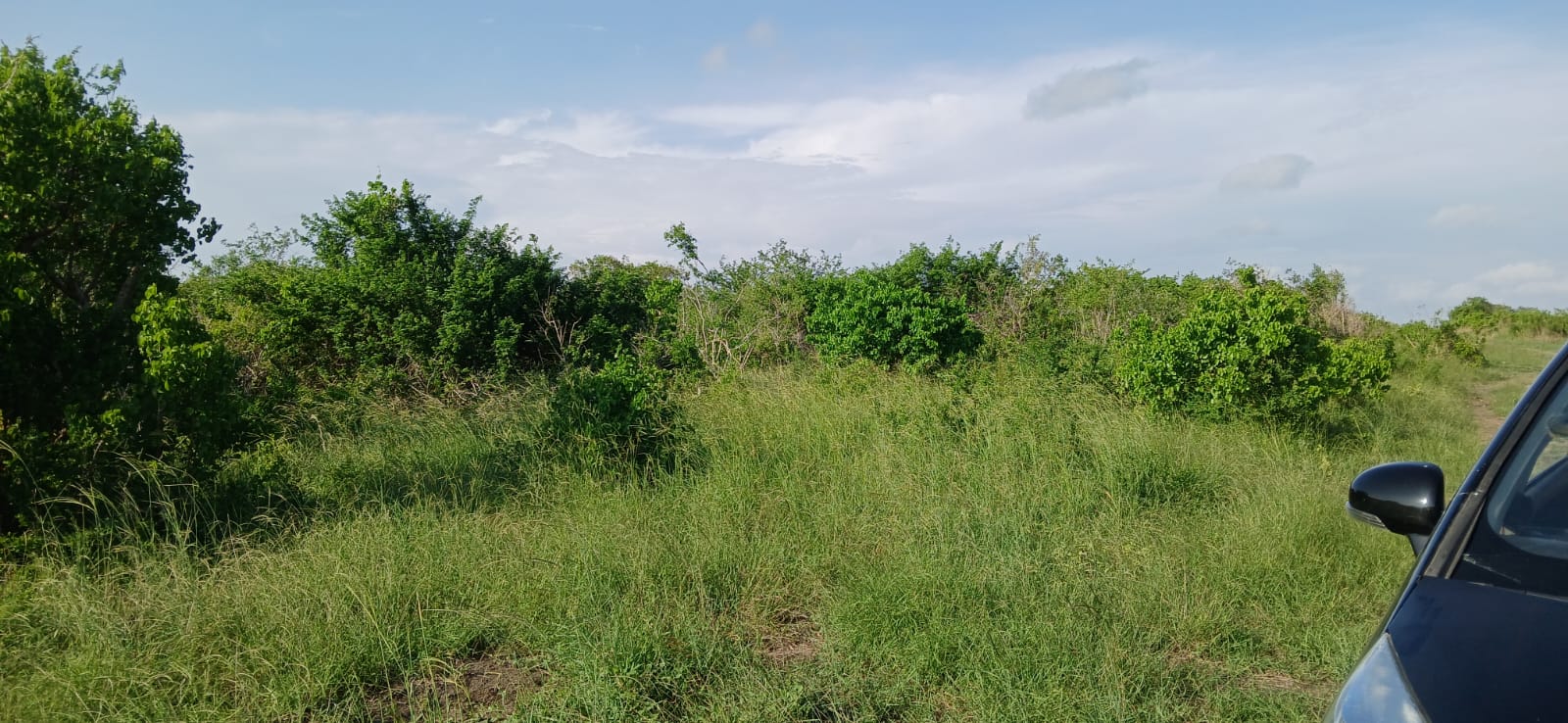 Prime 32-acre Marafa farmland with water access and clean title deed, ideal for agriculture and investment.