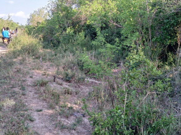 Prime 32-acre Marafa farmland with water access and clean title deed, ideal for agriculture and investment.