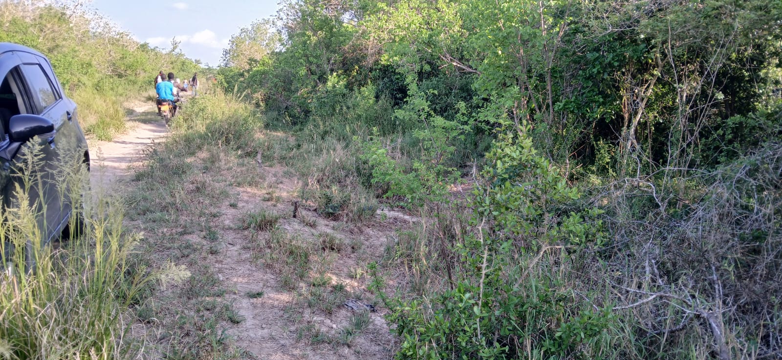 Prime 32-acre Marafa farmland with water access and clean title deed, ideal for agriculture and investment.