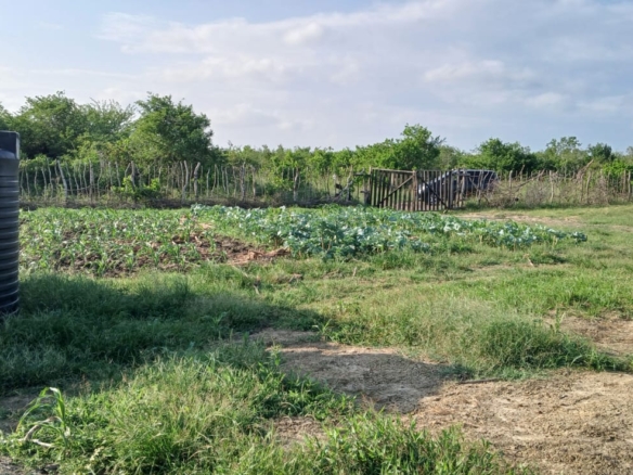 Prime 32-acre Marafa farmland with water access and clean title deed, ideal for agriculture and investment.