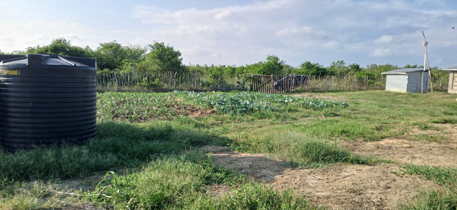 Prime 32-acre Marafa farmland with water access and clean title deed, ideal for agriculture and investment.