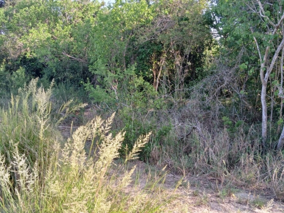 Prime 32-acre Marafa farmland with water access and clean title deed, ideal for agriculture and investment.