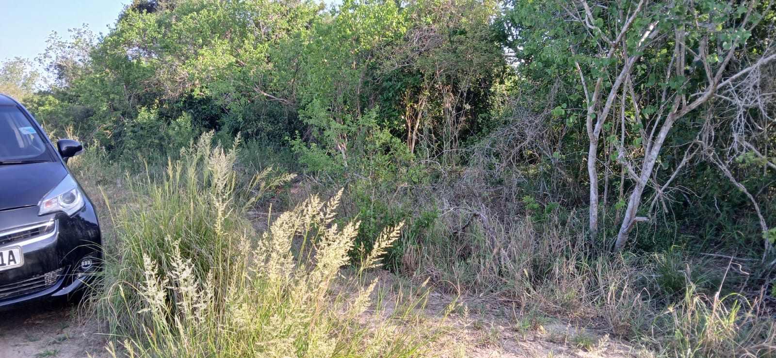 Prime 32-acre Marafa farmland with water access and clean title deed, ideal for agriculture and investment.