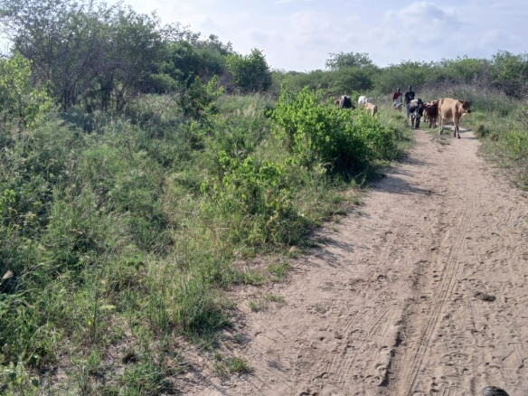 Prime 32-acre Marafa farmland with water access and clean title deed, ideal for agriculture and investment.