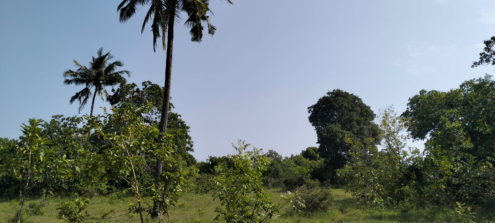 6 Acres For sale in Msabaha Malindi