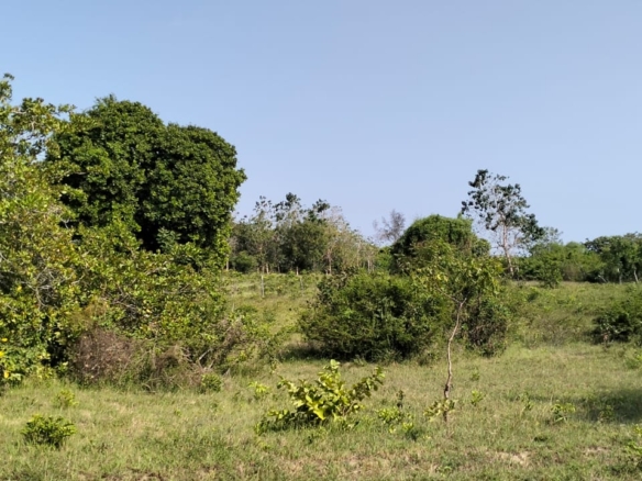 6 Acres For sale in Msabaha Malindi