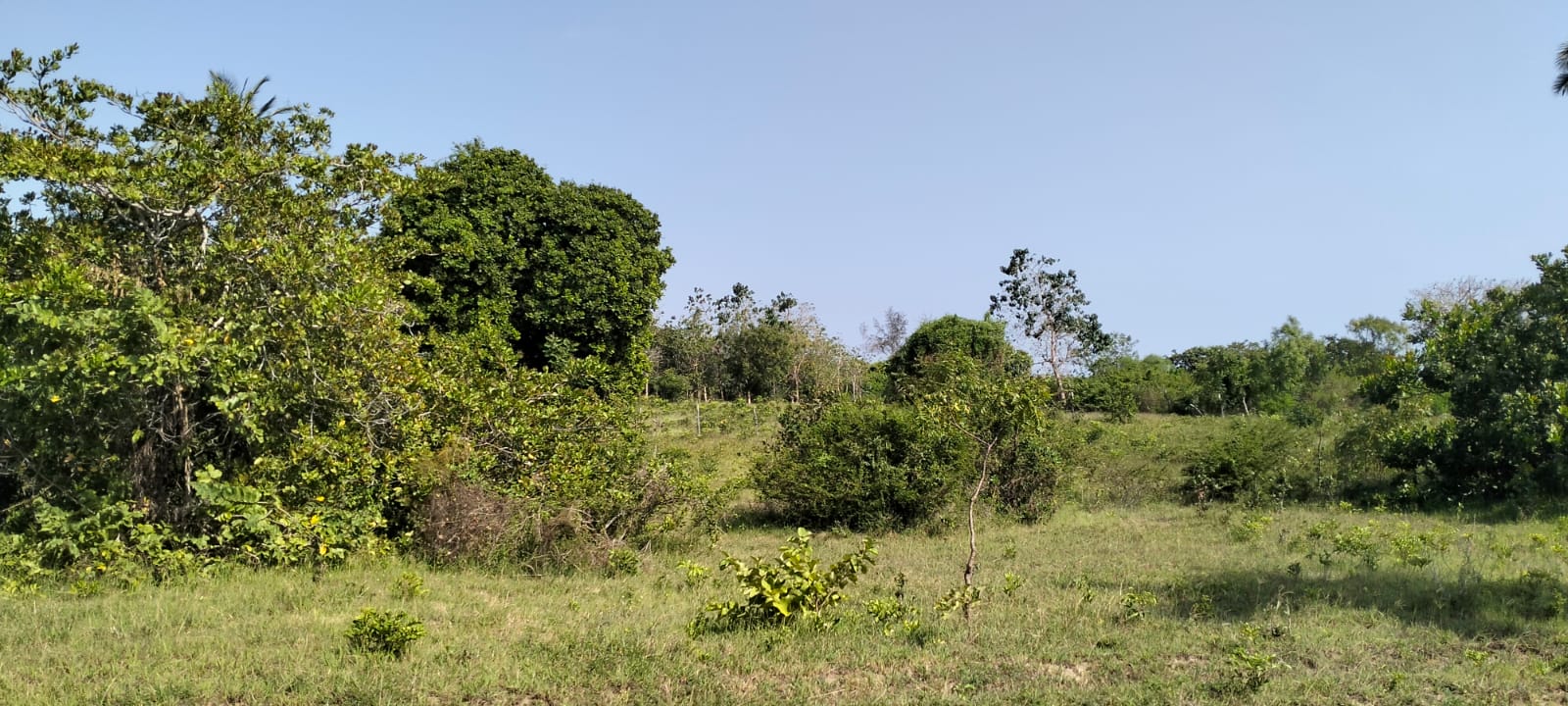 6 Acres For sale in Msabaha Malindi