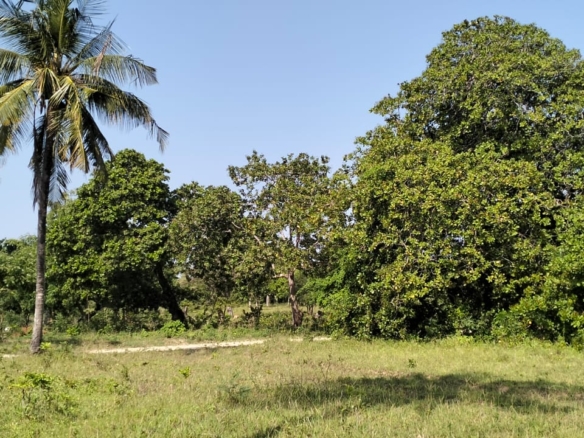 6 Acres For sale in Msabaha Malindi