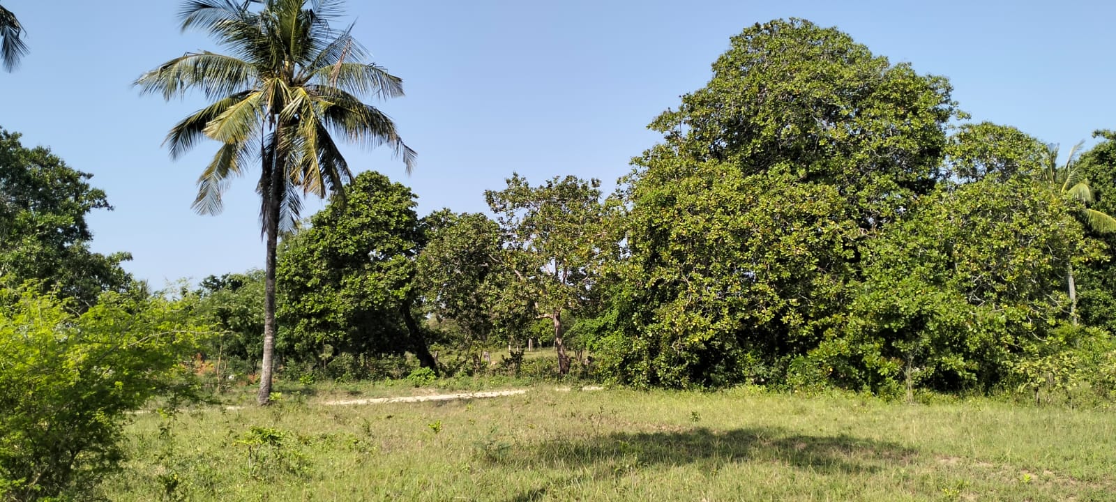 6 Acres For sale in Msabaha Malindi