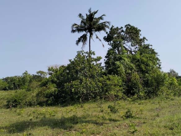 6 Acres For sale in Msabaha Malindi