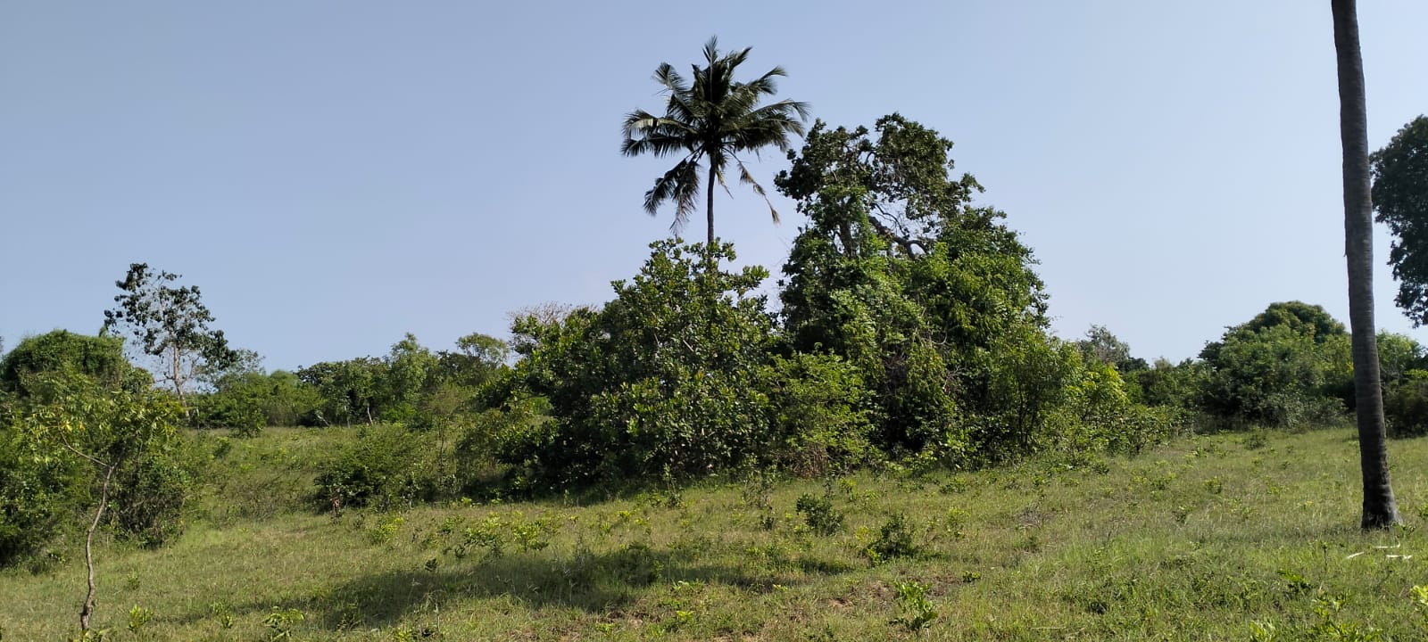 6 Acres For sale in Msabaha Malindi