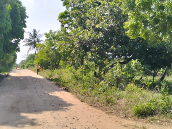 6 Acres For sale in Msabaha Malindi