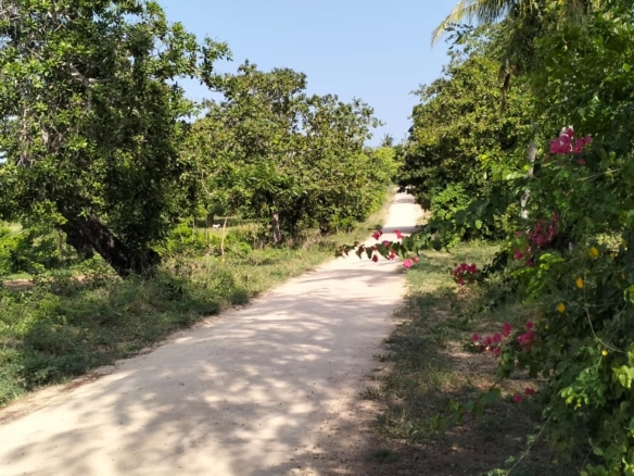 6 Acres For sale in Msabaha Malindi