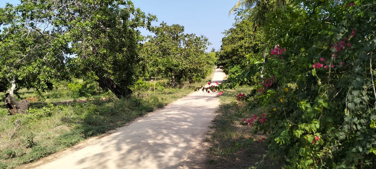 6 Acres For sale in Msabaha Malindi